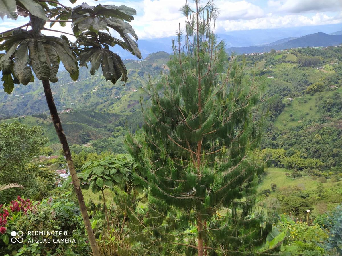 Mirador Finca Morrogacho Manizales Bagian luar foto