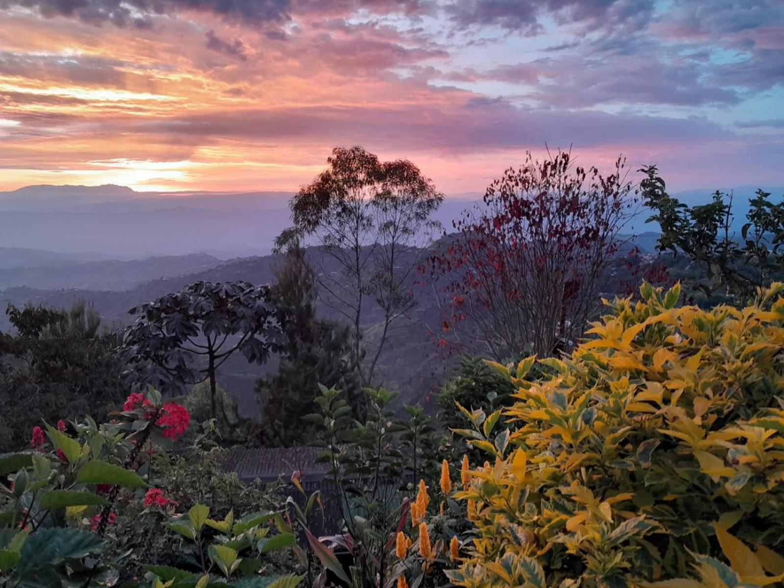 Mirador Finca Morrogacho Manizales Bagian luar foto