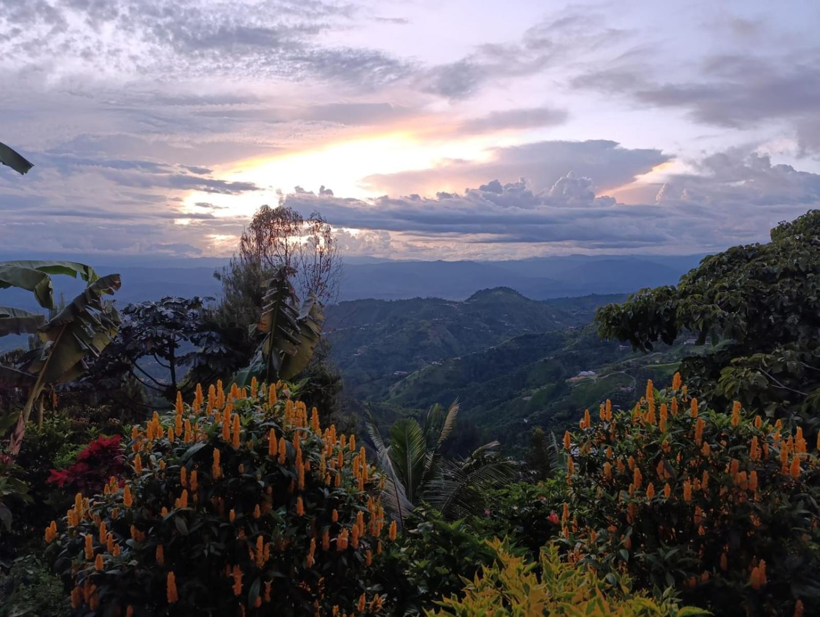 Mirador Finca Morrogacho Manizales Bagian luar foto