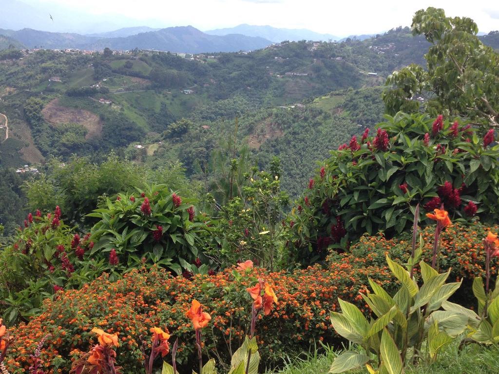 Mirador Finca Morrogacho Manizales Bagian luar foto